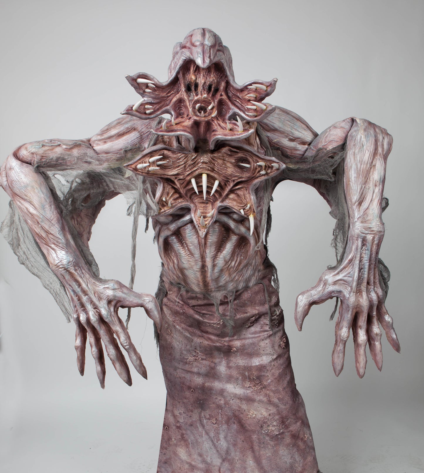 The Elder One
