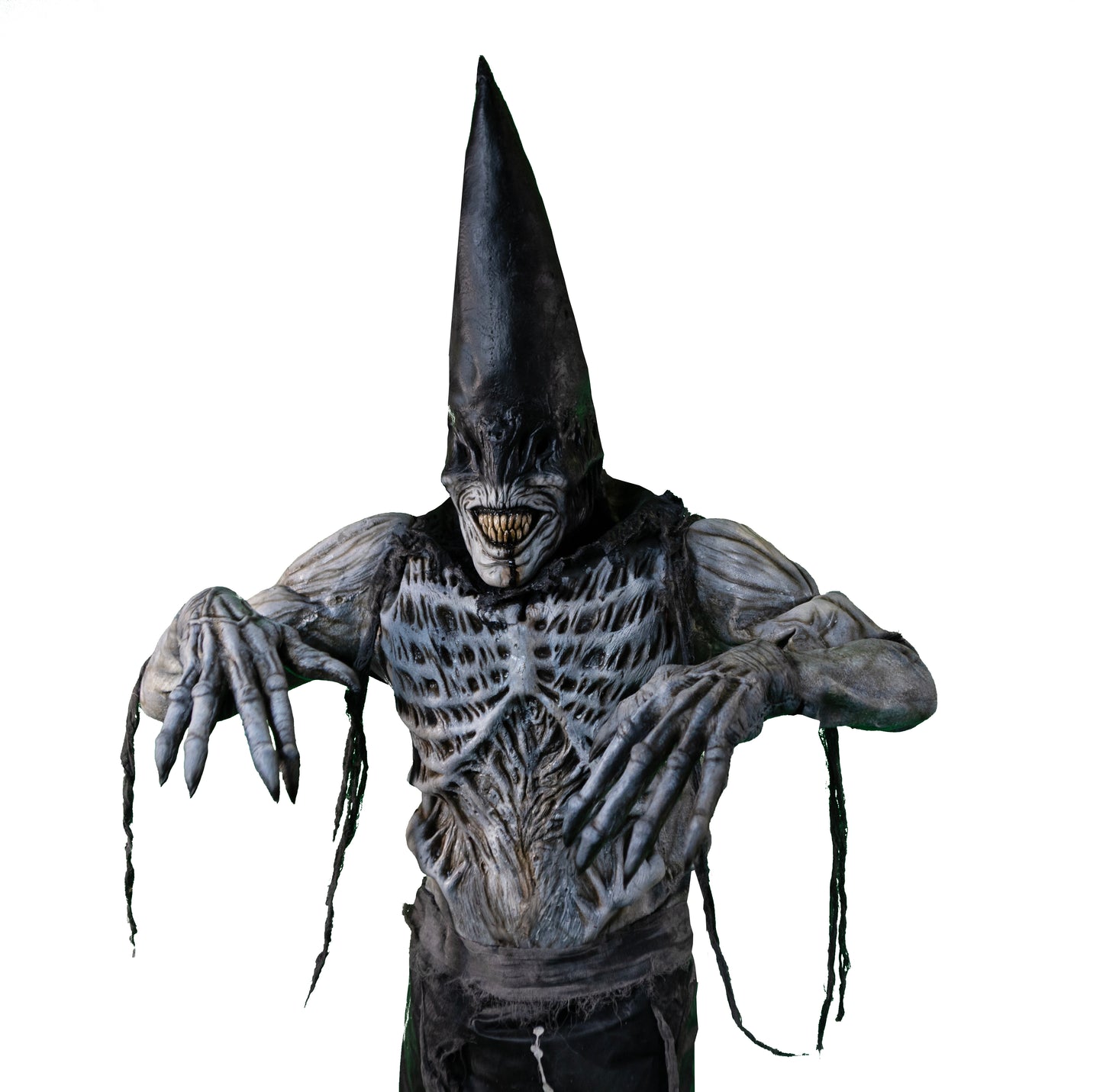 THE DUNCE