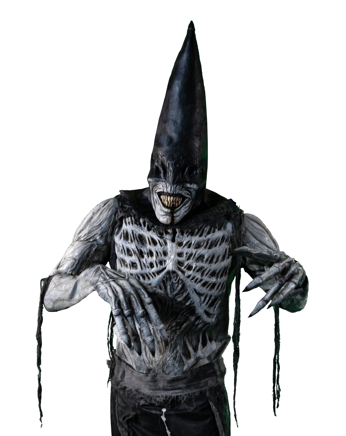 THE DUNCE