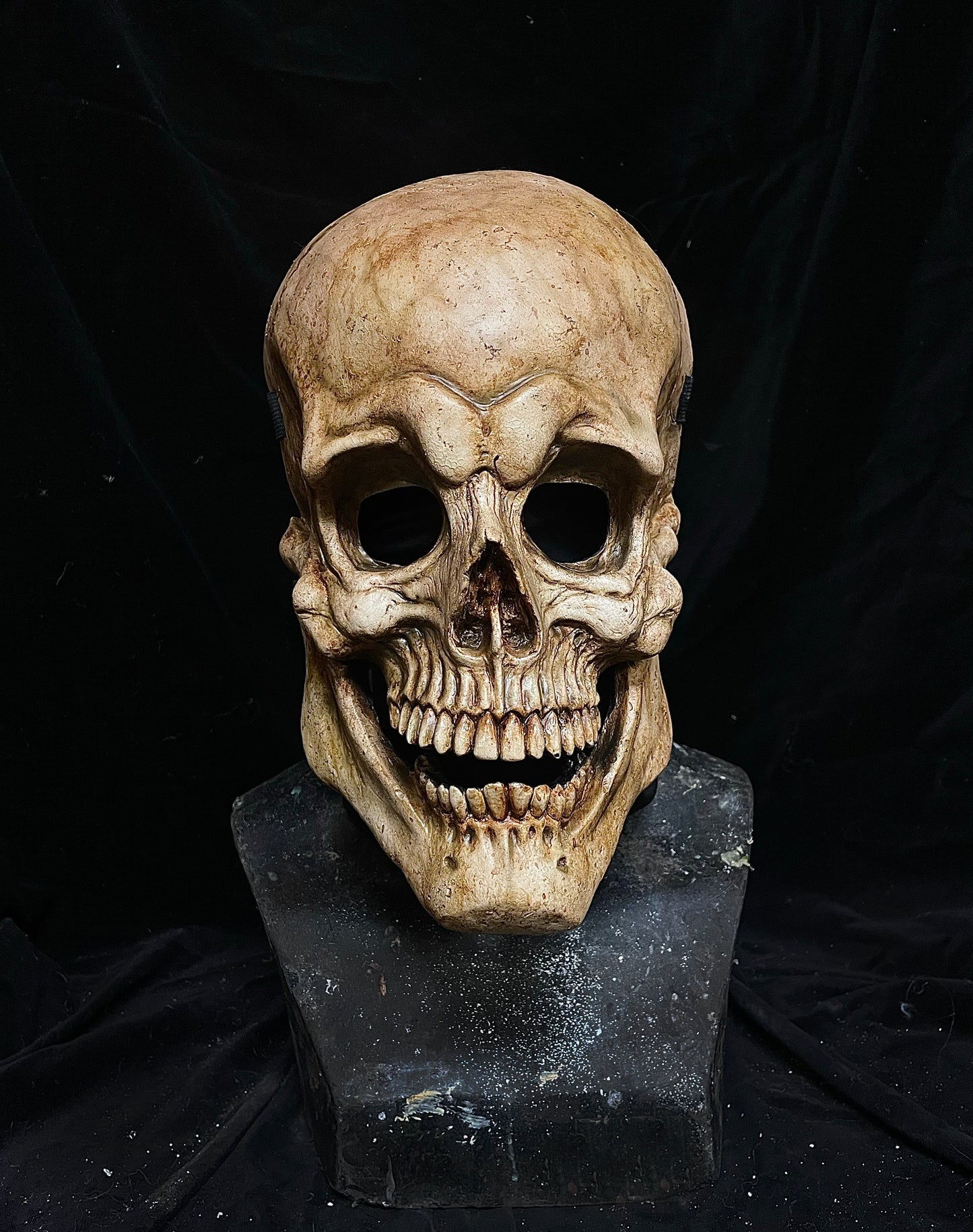 Skull plate mask