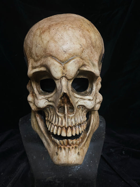 Skull plate mask