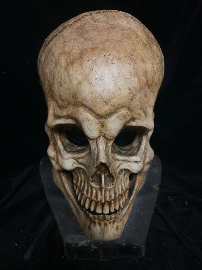 Skull plate mask