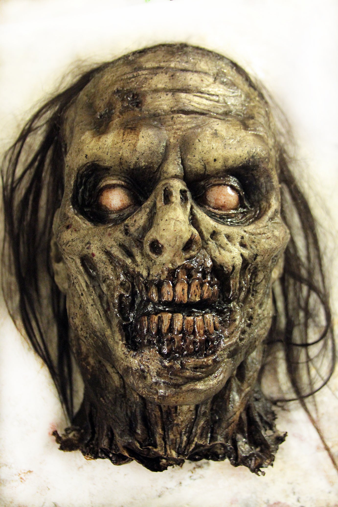 SEVERED ZOMBIE HEAD